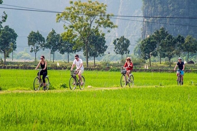 Ninh Binh Full-Day Trip to Trang An Mua Cave Hoa Lu Buffet Lunch - Guide quality and group size