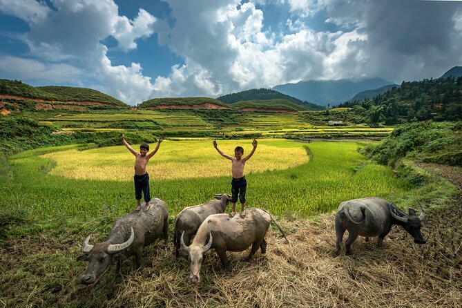 Ninh Binh Group Tour of 11 from Hanoi via Mua Cave Tam Coc Hoa Lu - Vietnamese lunch before the river ride
