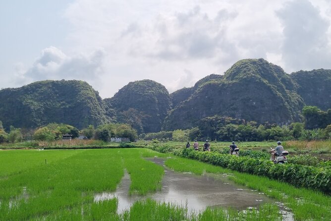 Ninh Binh HIGHTLIGHT & HIDDEN GEM Tour From Hanoi: Skip-The-Line - What the $89 price really covers