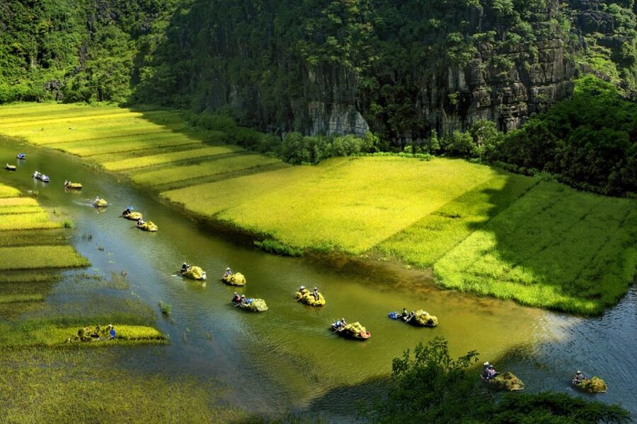 Ninh Binh: Hoa Lu, Trang An and Mua Caves Hiking Day Trip - Your guide can shape the whole day