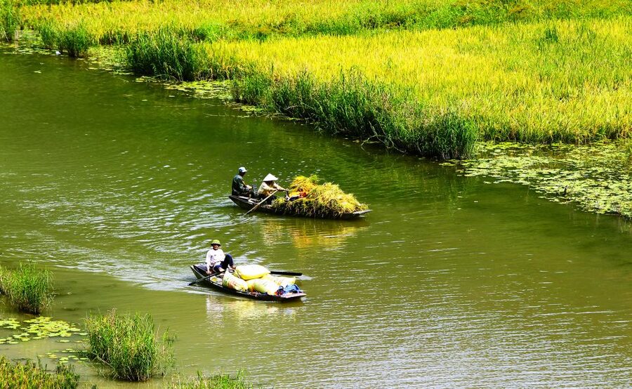 Ninh Binh: Hoa Lu, Trang An and Mua Caves Hiking Day Trip - Hoa Lu and the first Vietnamese government