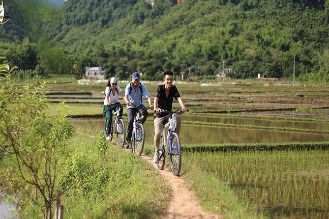 NINH BINH MEMORABLE DAY: Hoa Lu, Mua Cave, boat trip Tam Coc, Trang An optional - Cycling through the countryside