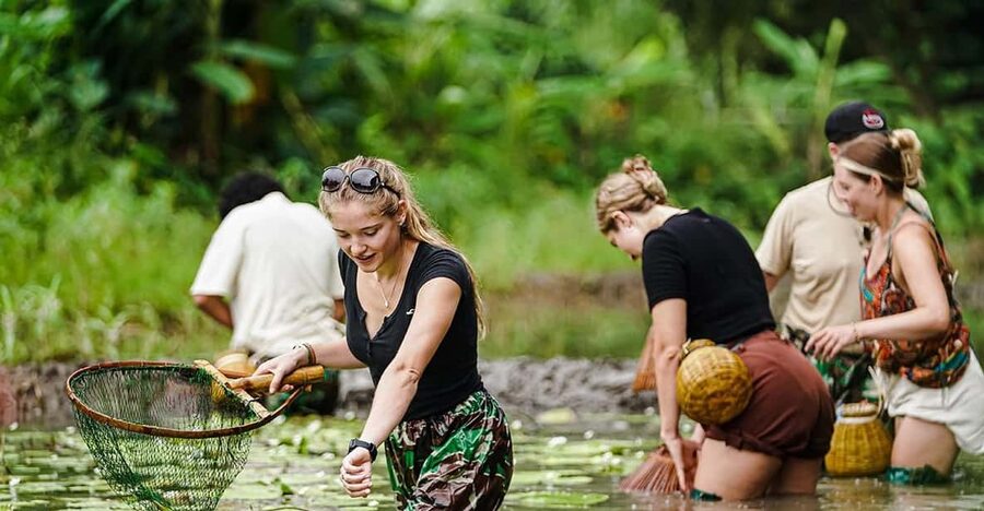 Ninh Binh: Rice planting and fishing by basket tour - What this Ninh Binh farm experience is really about