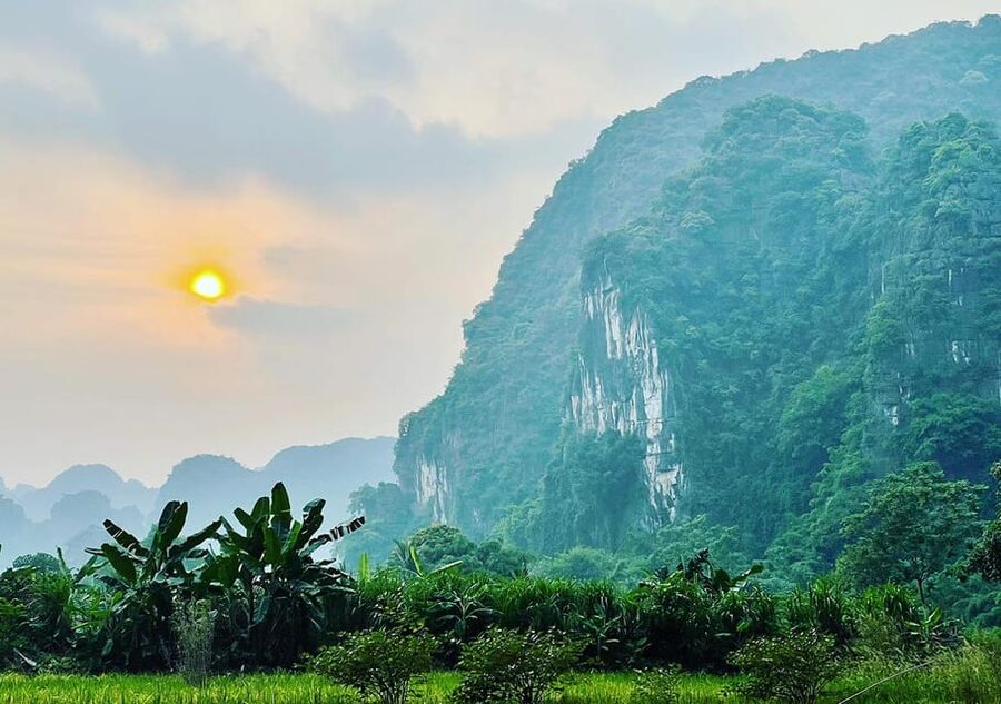Ninh Binh: Rice planting and fishing by basket tour - Learning the local nom fishing method