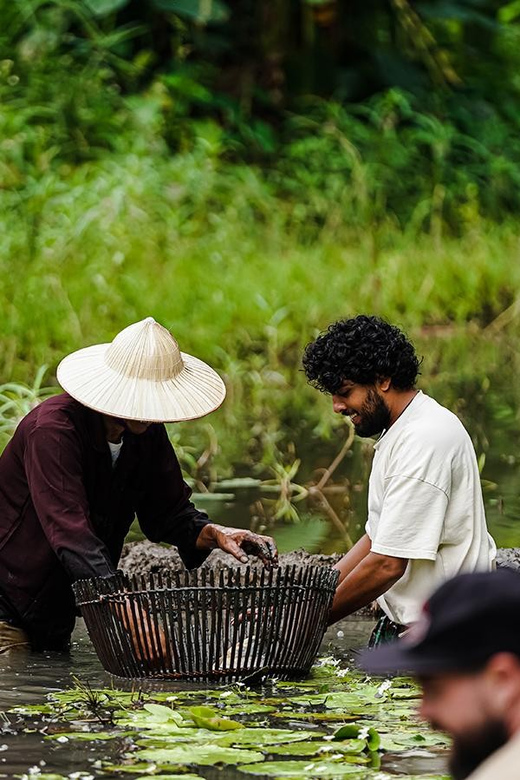 Ninh Binh: Rice planting and fishing by basket tour - Planting Vietnamese rice in traditional clothes
