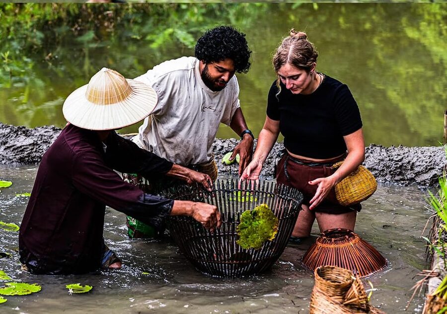 Ninh Binh: Rice planting and fishing by basket tour - Why the small group matters