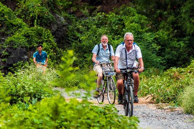 Ninh Binh Tour Hoa Lu Tam Coc Full Day: Biking,Boating,Tickets,Lunch, Limousine - What the $41 price really buys you
