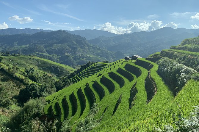 Number one top rated ethical cultural trekking and homestay by ETHOS - The Village Homestay: What It Adds