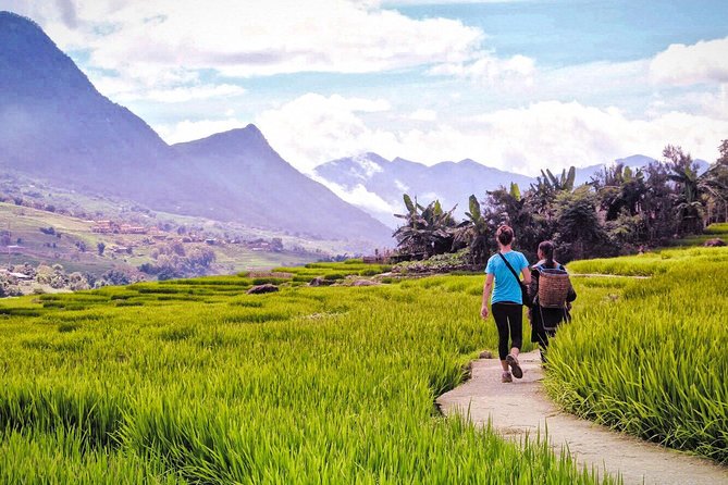 Number one top rated ethical cultural trekking and homestay by ETHOS - Guides Who Shape the Experience