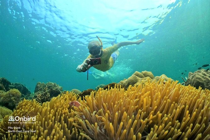 OnBird - PRIVATE ADVENTURE SNORKELING - explore Half-moon reef & Coral Mountain - Key points to know before booking