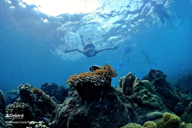 OnBird - PRIVATE ADVENTURE SNORKELING - explore Half-moon reef & Coral Mountain - Why this private Phu Quoc boat trip feels different