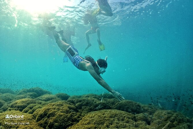 OnBird - PRIVATE ADVENTURE SNORKELING - explore Half-moon reef & Coral Mountain - Half-moon Reef is the first main snorkeling stop