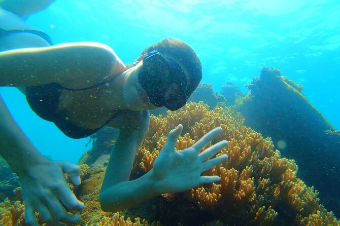 OnBird - PRIVATE ADVENTURE SNORKELING - explore Half-moon reef & Coral Mountain - Hotel pickup is easiest from Duong Dong southward