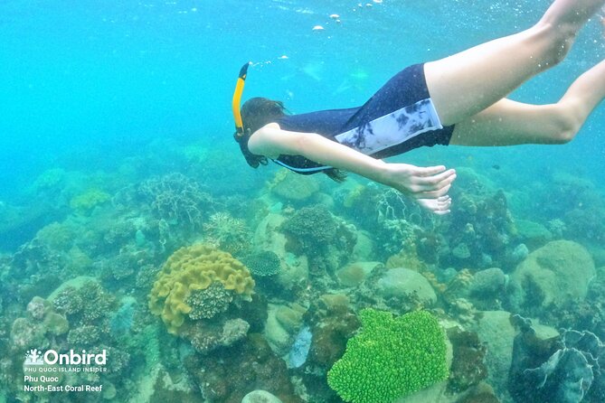 OnBird - Private family KID-FRIENDLY Snorkeling trip by speedboat in Phu Quoc - Reaching May Rut Island at the end