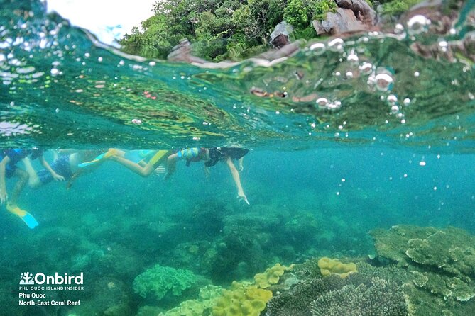 OnBird - Private family KID-FRIENDLY Snorkeling trip by speedboat in Phu Quoc - Equipment that makes a difference for children