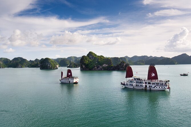 Overnight Bai Tu Long Bay Cruise from Hanoi - Ha Long Bay All-Inclusive - Sunrise tai chi and the short second morning