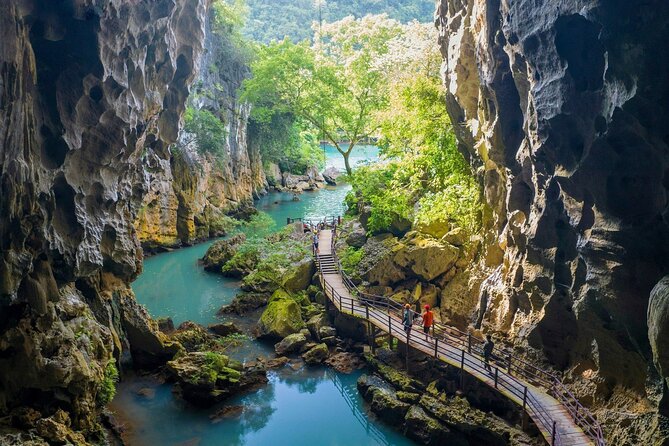 Paradise Cave & Dark Cave All-Inclusive 1-Day - Paradise Cave begins with a jungle climb