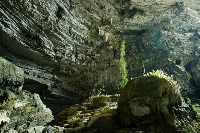 Phong Nha Cave - Paradise Cave Small Group Tour: All Inclusive - The Four Details That Shape Your Day