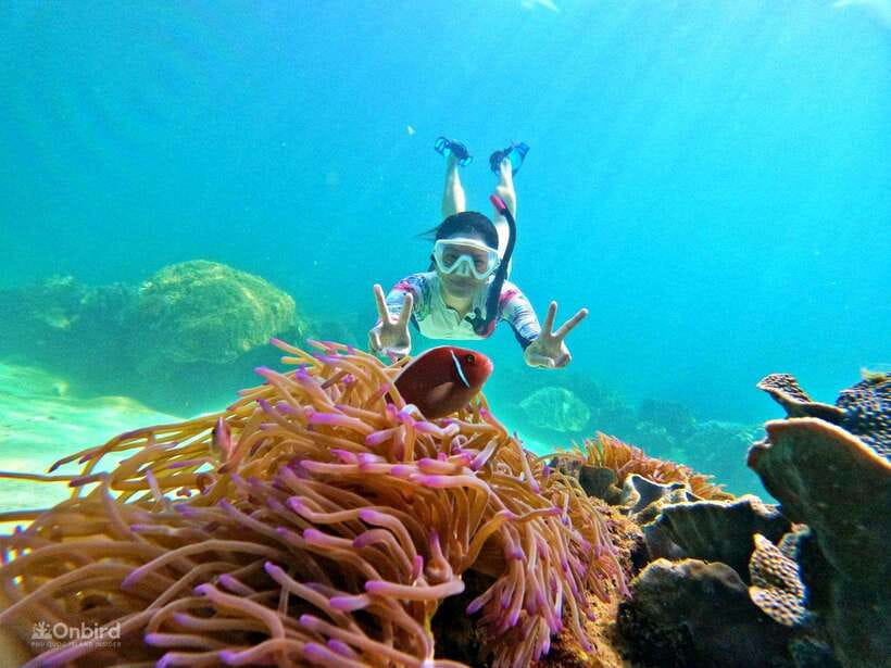 Phu Quoc: Speed Boat Tour 4 Islands - 2 Reefs Snorkeling - The shallow-water practice stop