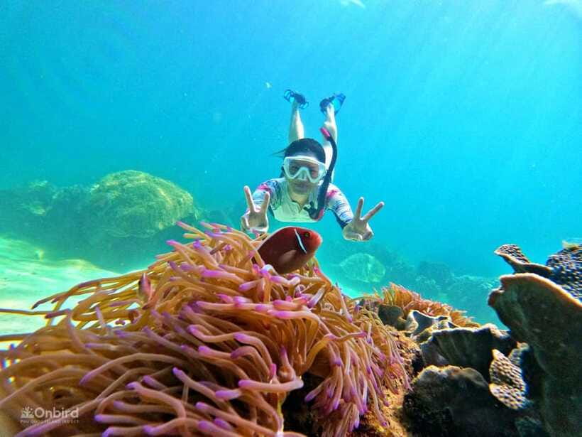 Phu Quoc: Speed Boat Tour 4 Islands - 2 Reefs Snorkeling - Reef two: the stronger stop for coral fans