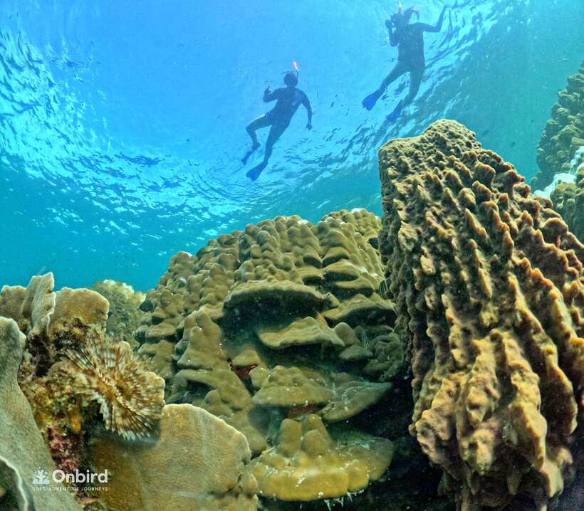 Phu Quoc: Speed Boat Tour 4 Islands - 2 Reefs Snorkeling - Safety, conservation, and the guide team