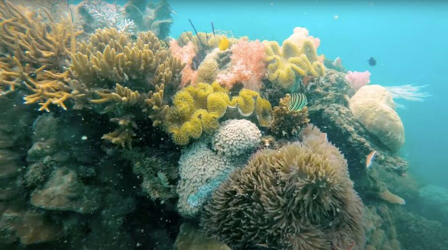 Phu Quoc: Speedboat Tour of 4 Islands with Snorkeling & BBQ - May Rut Ngoai and the possible Gham Ghi change