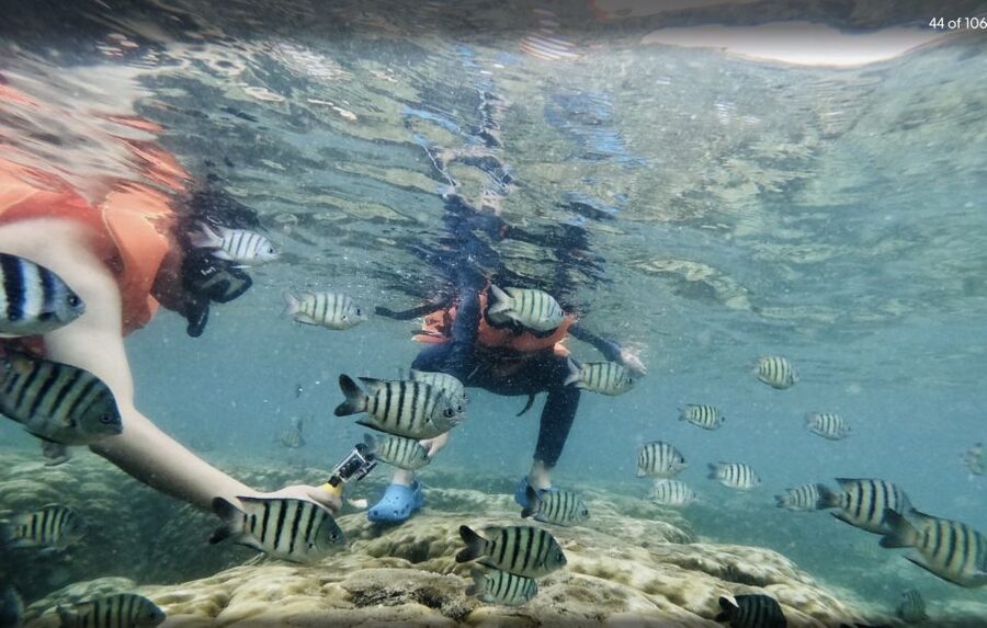 Phu Quoc: Speedboat Tour of 4 Islands with Snorkeling & BBQ - Buom Island: likely the strongest underwater stop