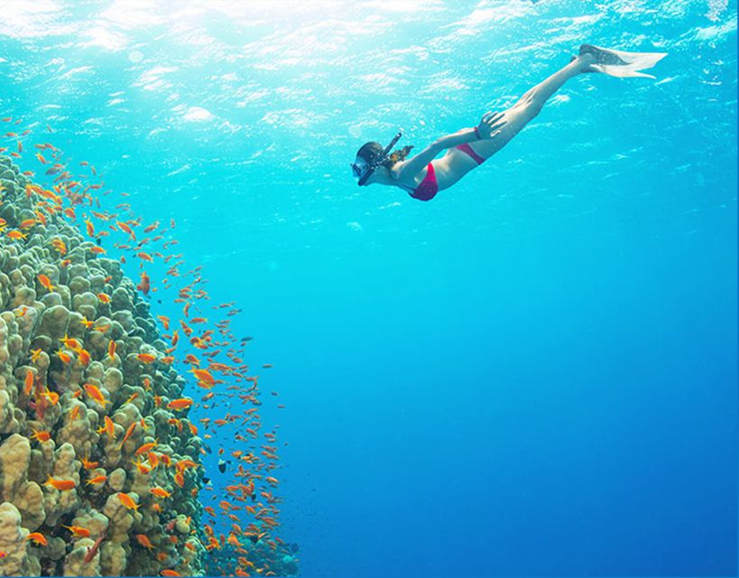 Phu Quoc: Speedboat Tour of 4 Islands with Snorkeling & BBQ - Getting from your hotel to the harbor
