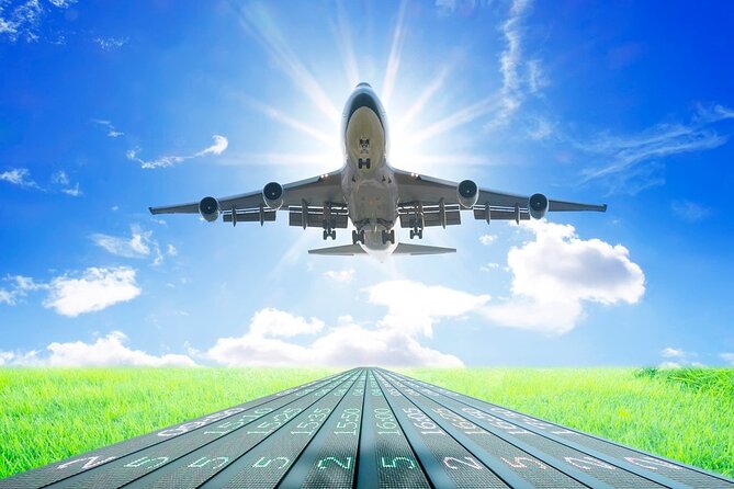 Private Arrival Transfer: Tan Son Nhat Airport to Ho Chi Minh City Hotels - Meeting your driver after customs and baggage claim