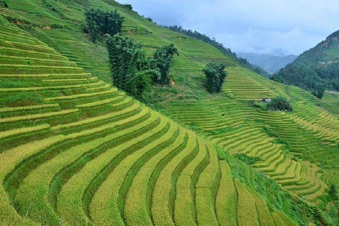 Private Car and Tour Guide Exploring Northern Vietnam - Vehicle Choices and Guide Quality
