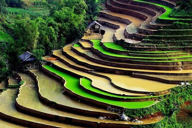 Private Full-Day Tour to Halong Bay from Hanoi - Ti Top Island, swimming, and the crowded beach question