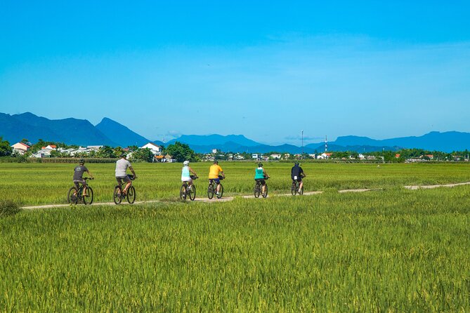 Private Hoi An to My Son Sanctuary Full-Day Bike Tour - The countryside ride: fields, crossings, and village life
