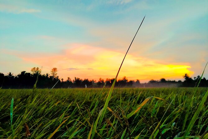 PRIVATE Mekong Delta 1 Day with Kayaking, Biking & Cooking - The early drive from Ho Chi Minh City to My Tho and Ben Tre