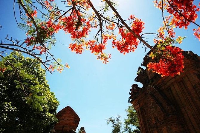 Private tour: Nha Trang Half day city tour &Lunch with PHỞ - Why this private Nha Trang tour works well
