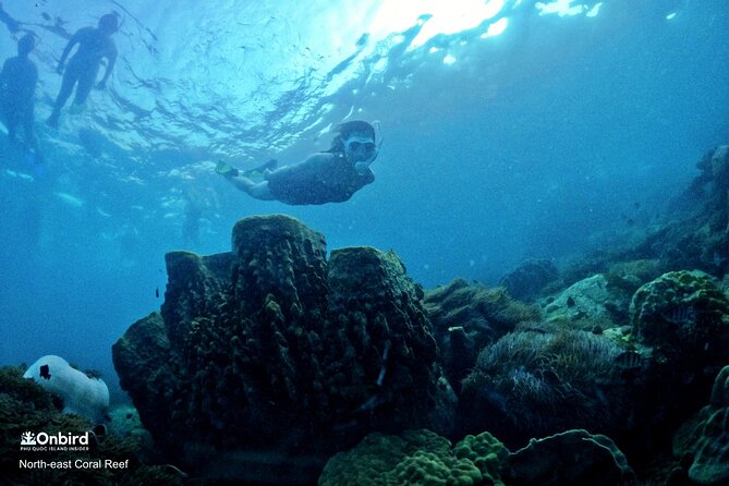 PRO-SNORKELING to Explore Hidden Coral Reefs (MAX 10 PAX) - The speedboat ride and the value of time
