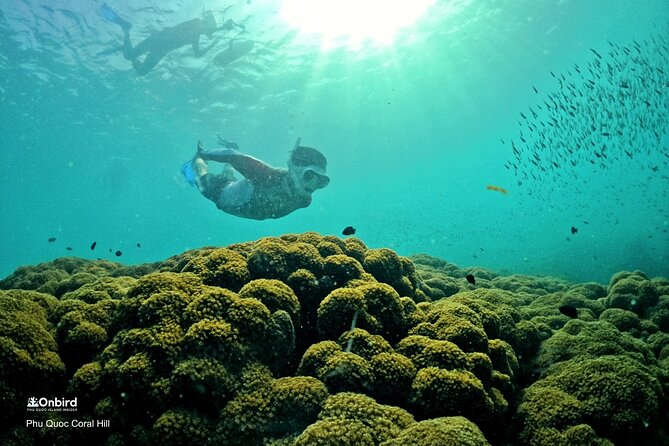 PRO-SNORKELING to Explore Hidden Coral Reefs (MAX 10 PAX) - Starting on the beach in An Thoi