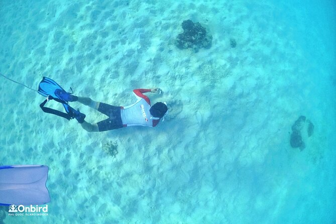 PRO-SNORKELING to Explore Hidden Coral Reefs (MAX 12 PAX) - What the reefs may look like beneath you