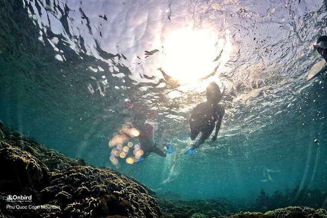 PRO-SNORKELING to Explore Hidden Coral Reefs (MAX 12 PAX) - Stop four: fruit, drinks, and a quieter island