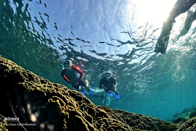 PRO-SNORKELING to Explore Hidden Coral Reefs (MAX 12 PAX) - Pickup, timing, and the six-hour schedule