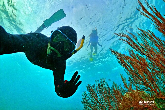 PRO-SNORKELING to Explore The Coral Jungle REEF (MAX 10 PAX) - Key points to know before booking