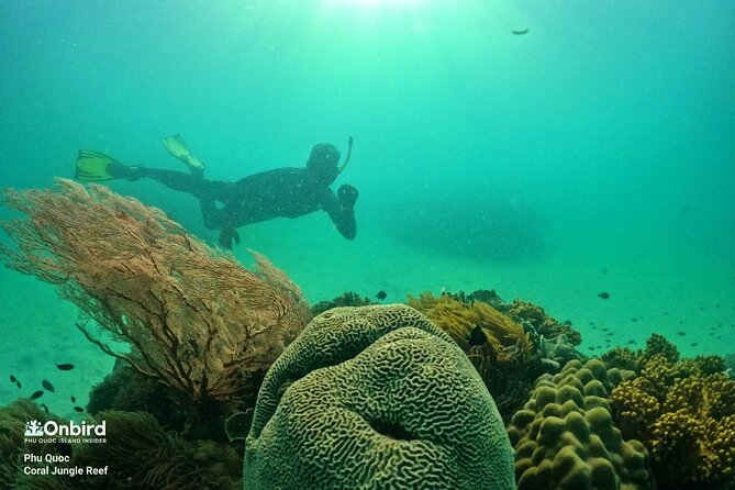 PRO-SNORKELING to Explore The Coral Jungle REEF (MAX 10 PAX) - The quiet beach stop after snorkeling