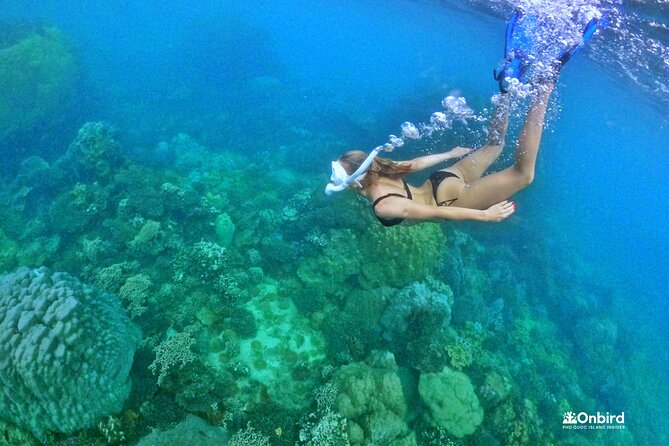 PRO-SNORKELING to Explore The Coral Jungle REEF (MAX 10 PAX) - The pickup and ride toward the northern coast