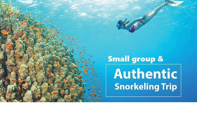 REAL snorkel &island hopping by SPEEDBOAT-EXPLORE CUISINES(MAX12) - A fast start from Phu Quoc to An Thoi