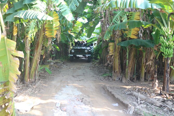 Red River Delta Countryside+ Rural Villages, rice Paddies fields - Why this four-and-a-half-hour trip is different