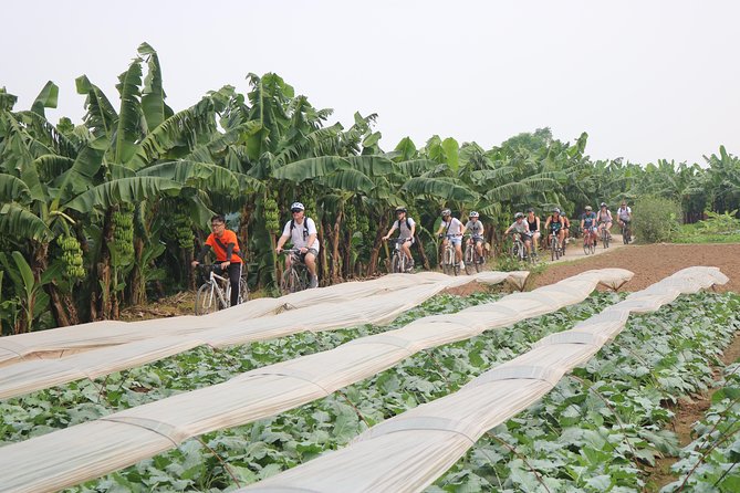 Red River island backroad, Rural Countyside Area and Train Street - Why this short Hanoi bike tour works