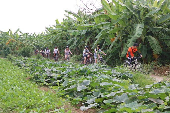 Red River island backroad, Rural Countyside Area and Train Street - Ending at Hanoi Train Street