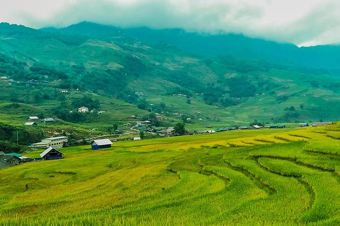 Rice Terraced Fields & Homestay Experience– 2D 1N - Arriving in Ta Van Village