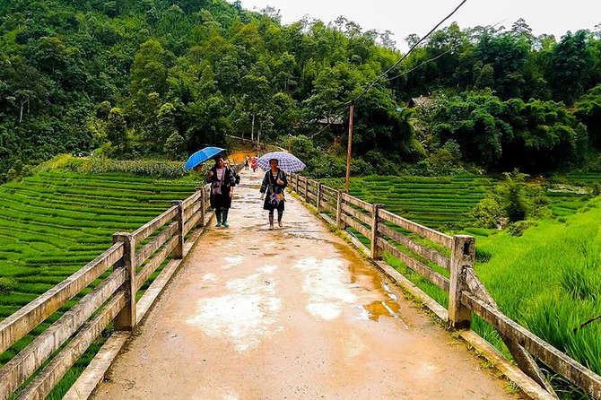 Rice Terraced Fields & Homestay Experience– 2D 1N - Who should book this Sapa trek?
