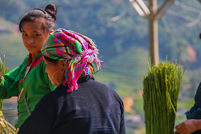 Rice Terraced Fields & Homestay Experience– 2D 1N - Rice terraces, bamboo forest, and the road conditions
