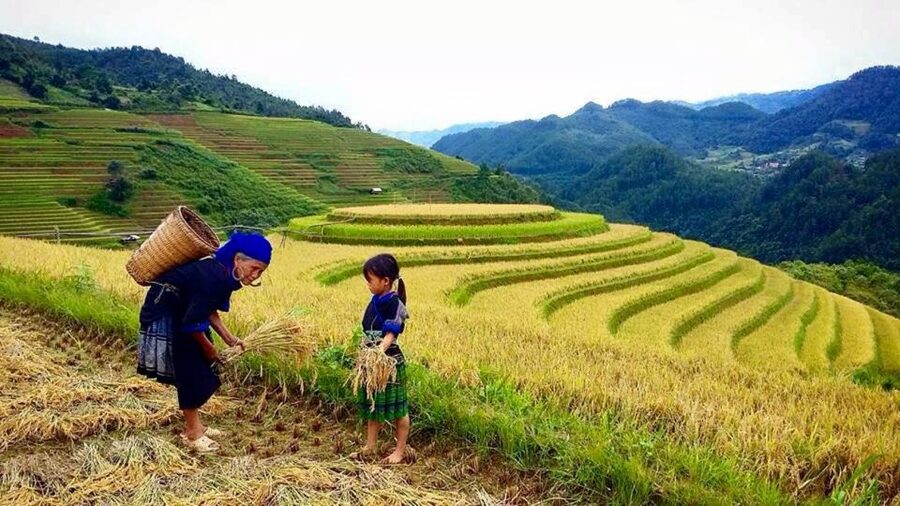 Sa Pa: 6-Hours Muong Hoa Valley Trek with Local Ethnic guide - How difficult is the 10-kilometer trek?